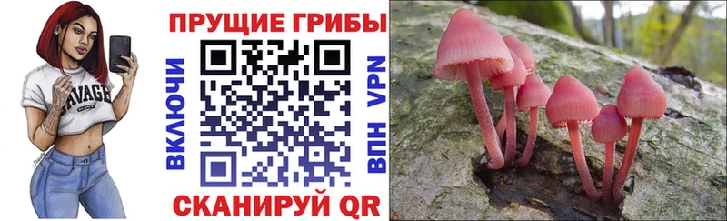 Купить  Балашов  Псилоцибиновые грибы прущие грибы 